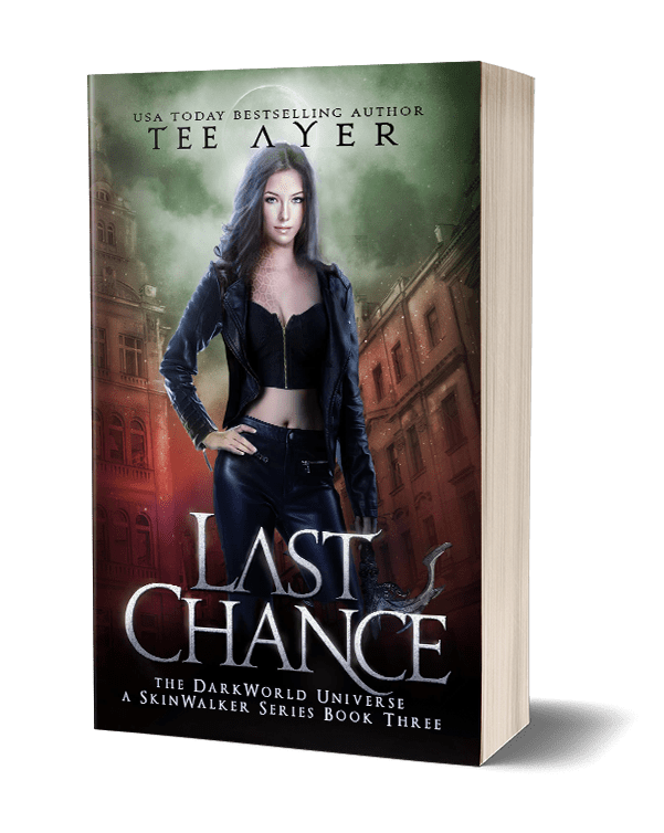 Last Chance Paperback